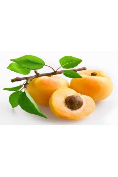 Абрикос Ананасный Цюрупинский | Абрикос Ананасовий Цюрупинський | Prunus armeniaca Ananasnyy Tsyurupynskyy